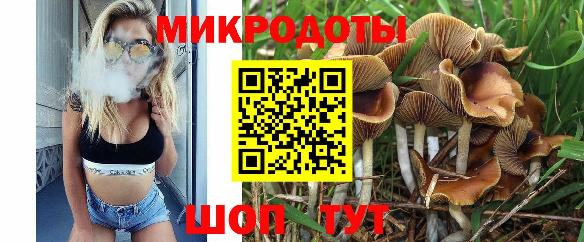 Галлюциногенные грибы ЛСД  Галлюциногенные грибы прущие грибы  Вход с VPN  Мичуринск 
