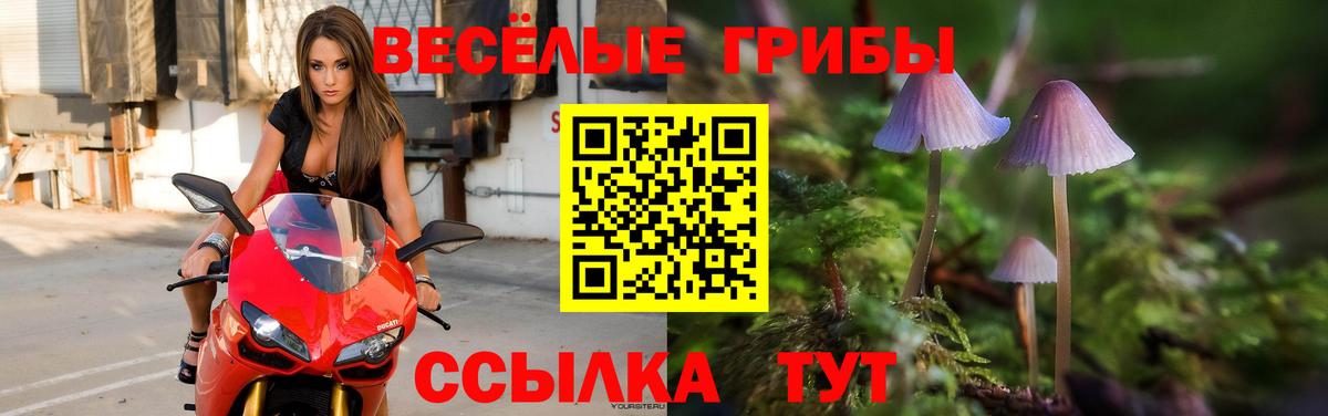 Галлюциногенные грибы мицелий Мичуринск